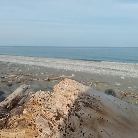 Apartmanhotel Vakis Velíka